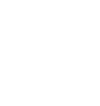 Icon Security